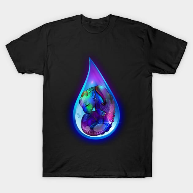 Raindrop Dragon T-Shirt by Toni Tees